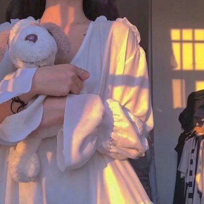 一个妨碍了希特勒的人