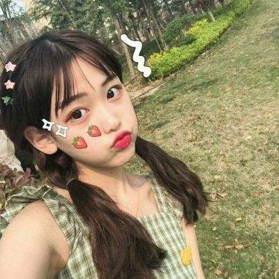 大清后宫